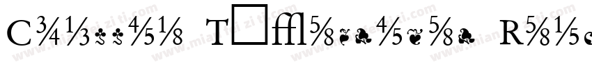 Classic Typewriter RegularSWFTE字体转换